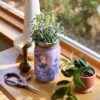 Garden Jars - Organic Herbs -Eds Plant Shop garden jars organic herbs 120700