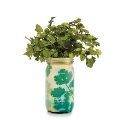 Garden Jars - Organic Herbs -Eds Plant Shop garden jars organic herbs 608359