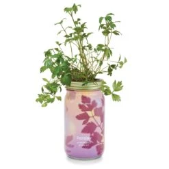Garden Jars - Organic Herbs -Eds Plant Shop garden jars organic herbs 668467