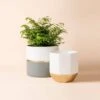 Garonne Rose Gold & Grey Planter Pot Set -Eds Plant Shop garonne rose gold grey planter pot set 621644
