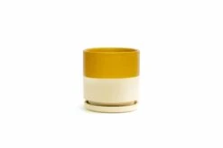 Gemstone Porcelain Planter Pot With Water Saucer 10.5 Inch -Eds Plant Shop gemstone porcelain planter pot with water saucer 105 inch 840690