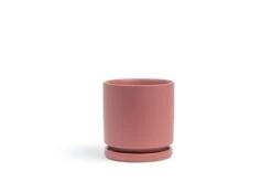 Gemstone Porcelain Planter Pot With Water Saucer 10.5 Inch -Eds Plant Shop gemstone porcelain planter pot with water saucer 105 inch 844838