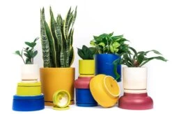 Gemstone Porcelain Planter Pot With Water Saucer 4.5 Inch -Eds Plant Shop gemstone porcelain planter pot with water saucer 45 inch 895960