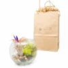 Gift Wrapped Terrarium Kits With Tillandsia Air Plants -Eds Plant Shop gift wrapped terrarium kits with tillandsia air plants 1892120