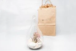 Gift Wrapped Terrarium Kits With Tillandsia Air Plants 14 Gift Wrapped Terrarium Kits With Tillandsia Air Plants -Eds Plant Shop gift wrapped terrarium kits with tillandsia air plants 8031780