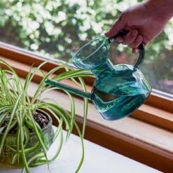 Glass Watering Can | Elegant, Multi-Functional Plant Care Tool -Eds Plant Shop glass watering can elegant multi functional plant care tool 568070