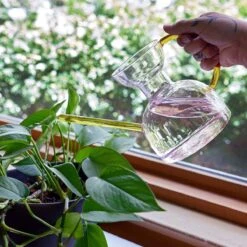 Glass Watering Can | Elegant, Multi-Functional Plant Care Tool -Eds Plant Shop glass watering can elegant multi functional plant care tool 804381