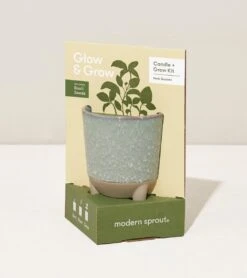 Glow & Grow Candle-to-Planter Kit – Basil, Daisies, Aloe, Or Spruce -Eds Plant Shop glow grow candle to planter kit basil daisies aloe or spruce 264010