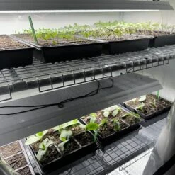 Greens & Veggies 3-Tier Walden White LED Grow Tent Kit -Eds Plant Shop greens veggies 3 tier walden white led grow tent kit 728259