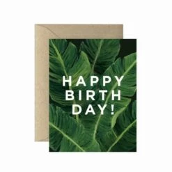 Greeting Cards – Unique Designs For Every Occasion -Eds Plant Shop greeting cards unique designs for every occasion 6157447