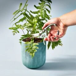 Grip-Friendly Gardening Shears - New Colors! -Eds Plant Shop grip friendly gardening shears new colors 449597