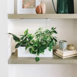 Growbar White LED Grow Light Fixture (Online Only) | Under Cabinet Or Shelf Mount -Eds Plant Shop growbar white led grow light fixture online only under cabinet or shelf mount 550080