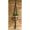 Handmade Macrame Plant Hanger – Black Cotton Rope, 45" For 5–8 Inch Pots -Eds Plant Shop handmade macrame plant hanger black cotton rope 45 for 58 inch pots 6487233