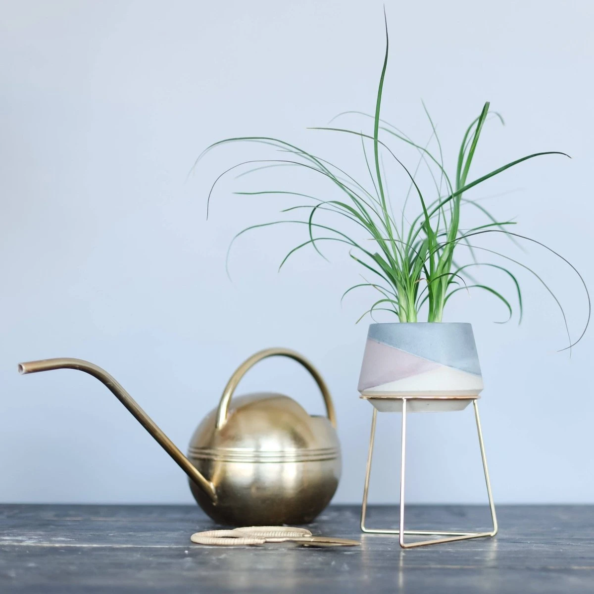 Harper Modern Concrete Planter - Midnight Blue 3 Inch 4 Harper Modern Concrete Planter - Midnight Blue 3 Inch - Image 2