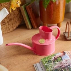 Haws Fazeley Flow Classic Watering Can - Small Indoor Garden Essentials -Eds Plant Shop haws fazeley flow classic watering can small indoor garden essentials 570217