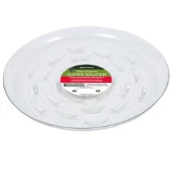 Heavy-Duty Ventilated PET Plant Saucer – 50% Recycled, Recyclable | 6″–24″ -Eds Plant Shop heavy duty ventilated pet plant saucer 50 recycled recyclable 624 9463860