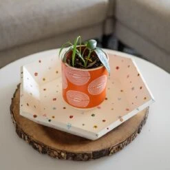 Hexagon Tray Kit -Eds Plant Shop hexagon tray kit 856006