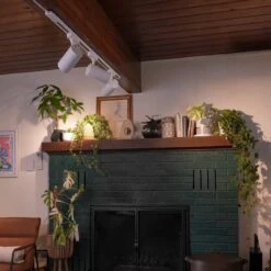 Highland™ LED Grow Light -Eds Plant Shop highland led grow light 576511