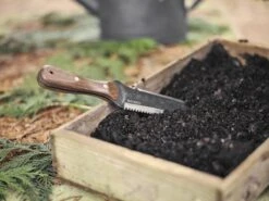 Barebones Hori Hori Classic – The Ultimate Gardening Multi-Tool -Eds Plant Shop hori hori classic gardening tool 702791