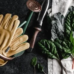 Barebones Hori Hori Ultimate Gardening Tool – The All-in-One Outdoor & Garden Blade -Eds Plant Shop hori hori ultimate gardening tool 361603