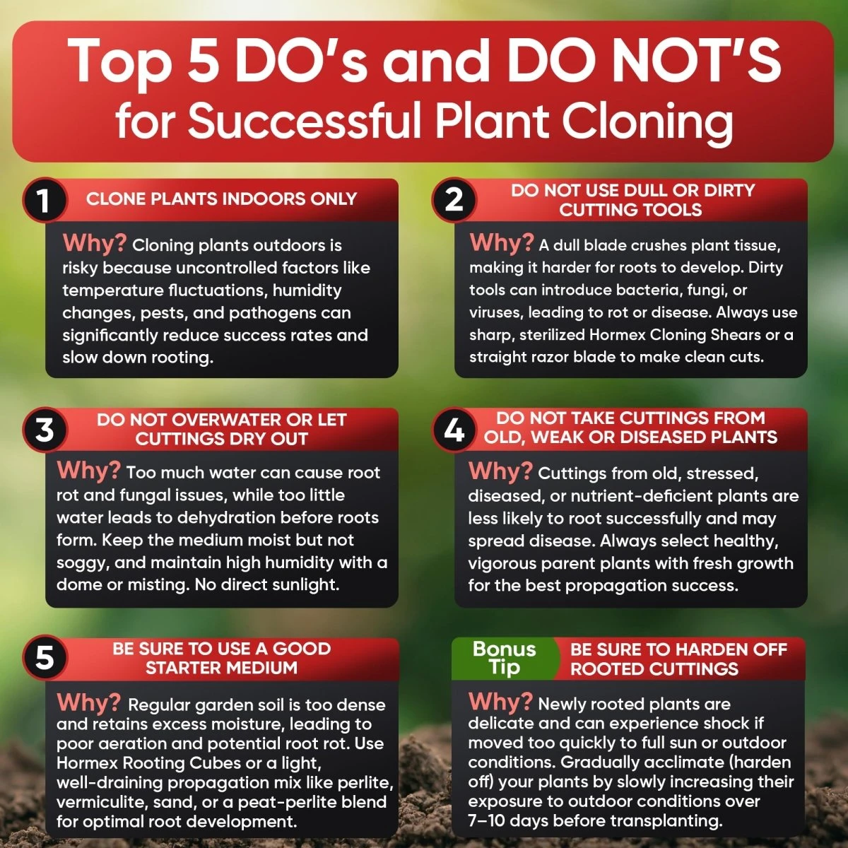 Hormex Rooting Cubes – Organic Peat & Coco Plugs For Cuttings & Seedlings 8 Hormex Rooting Cubes – Organic Peat & Coco Plugs For Cuttings & Seedlings - Image 6