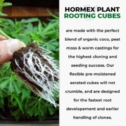 Hormex Rooting Cubes – Organic Peat & Coco Plugs For Cuttings & Seedlings 11 Hormex Rooting Cubes – Organic Peat & Coco Plugs For Cuttings & Seedlings -Eds Plant Shop hormex rooting cubes organic peat coco plugs for cuttings seedlings 6537152