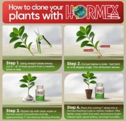 Hormex Rooting Powder #1 – 0.10% IBA Cloning & Rooting Hormone For Softwood, Herbs & Succulent Cuttings -Eds Plant Shop hormex rooting powder 1 010 iba cloning rooting hormone for softwood herbs succulent cuttings 8682695