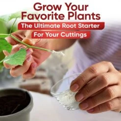 Hormex Rooting Powder #3 – 0.30% IBA Cloning Hormone For Home & Garden Cuttings -Eds Plant Shop hormex rooting powder 3 030 iba cloning hormone for home garden cuttings 9163230