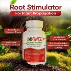 Hormex Rooting Powder #8 – 0.80% IBA Cloning Hormone For Semi-Hardwood Houseplants & Tree Cuttings -Eds Plant Shop hormex rooting powder 8 080 iba cloning hormone for semi hardwood houseplants tree cuttings 6577435
