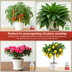 Hormex Rooting Powder Pack – #1, #3 & #8 IBA Cloning Kit For Softwood To Semi-Hardwood Cuttings -Eds Plant Shop hormex rooting powder pack 1 3 8 iba cloning kit for softwood to semi hardwood cuttings 2778636