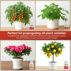 Hormex Rooting Powder Pack – #3, #8 & #16 High-Strength Cloning Kit For Semi-Softwood To Hardwood Cuttings -Eds Plant Shop hormex rooting powder pack 3 8 16 high strength cloning kit for semi softwood to hardwood cuttings 5351868