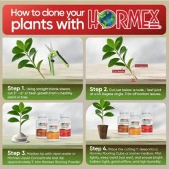 Hormex Rooting Powder Pack – #3, #8 & #16 High-Strength Cloning Kit For Semi-Softwood To Hardwood Cuttings -Eds Plant Shop hormex rooting powder pack 3 8 16 high strength cloning kit for semi softwood to hardwood cuttings 8736835