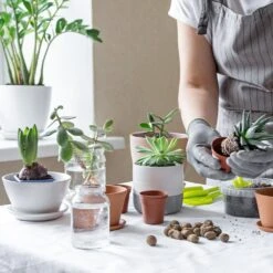 House Plants 3-Tier Walden White LED Grow Tent Kit 17 House Plants 3-Tier Walden White LED Grow Tent Kit -Eds Plant Shop house plants 3 tier walden white led grow tent kit 393292