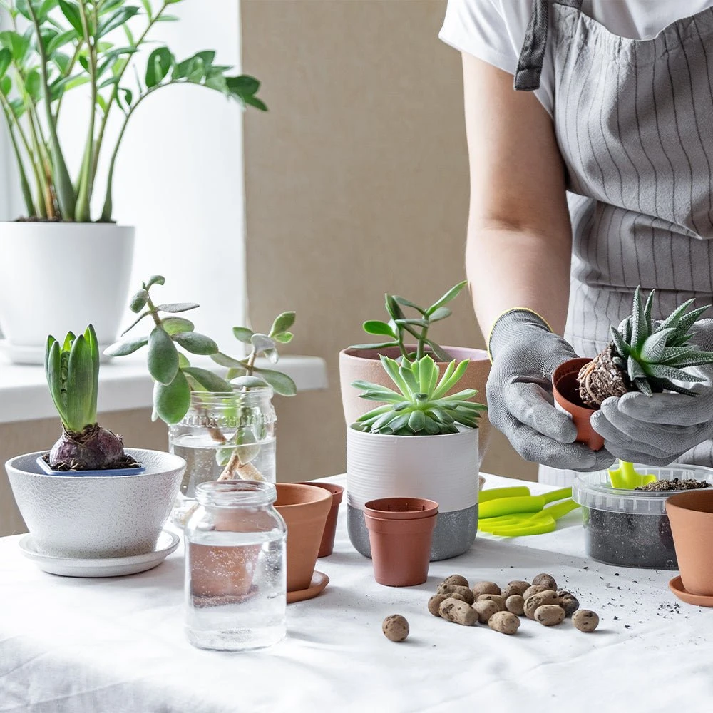 House Plants 3-Tier Walden White LED Grow Tent Kit 10 House Plants 3-Tier Walden White LED Grow Tent Kit - Image 8