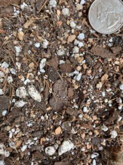 Houseplant Chunky Mix – All-Purpose Potting Mix For Aroids & Tropicals -Eds Plant Shop houseplant chunky mix all purpose potting mix for aroids tropicals 812898