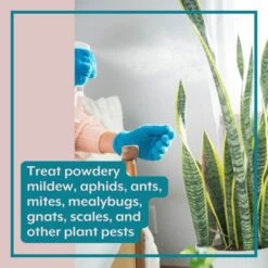 Instant Plant Food- Complete Plant Care Bundle For HOUSEPLANTS -Eds Plant Shop instant plant food complete plant care bundle for houseplants 703476