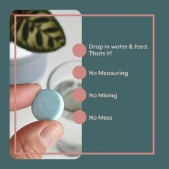 Instant Plant Food Houseplant GROW Bundle -Eds Plant Shop instant plant food houseplant grow bundle 332281