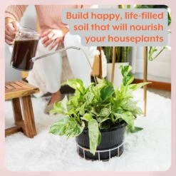 Instant Plant Food Houseplant GROW Bundle -Eds Plant Shop instant plant food houseplant grow bundle 681387