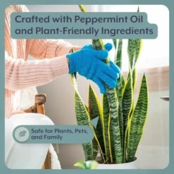 Instant Plant Food- The ULTIMATE Plant Parent Bundle -Eds Plant Shop instant plant food the ultimate plant parent bundle 537613