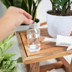 Instant Plant Protection 4-Tablet Pouch Bundle (2 Pack) -Eds Plant Shop instant plant protection 4 tablet pouch bundle 2 pack 143380