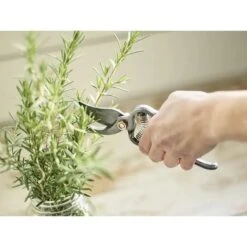 Barebones Japanese Pruner With Sheath 11 Barebones Japanese Pruner With Sheath -Eds Plant Shop japanese pruner with sheath 623403