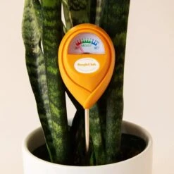 Jungle Club Soil Moisture Meter | Accurate, Battery-Free Plant Care 27 Jungle Club Soil Moisture Meter | Accurate, Battery-Free Plant Care -Eds Plant Shop jungle club soil moisture meter accurate battery free plant care 440085