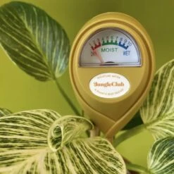 Jungle Club Soil Moisture Meter | Accurate, Battery-Free Plant Care 26 Jungle Club Soil Moisture Meter | Accurate, Battery-Free Plant Care -Eds Plant Shop jungle club soil moisture meter accurate battery free plant care 761475