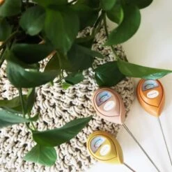 Jungle Club Soil Moisture Meter | Accurate, Battery-Free Plant Care 23 Jungle Club Soil Moisture Meter | Accurate, Battery-Free Plant Care -Eds Plant Shop jungle club soil moisture meter accurate battery free plant care 892057