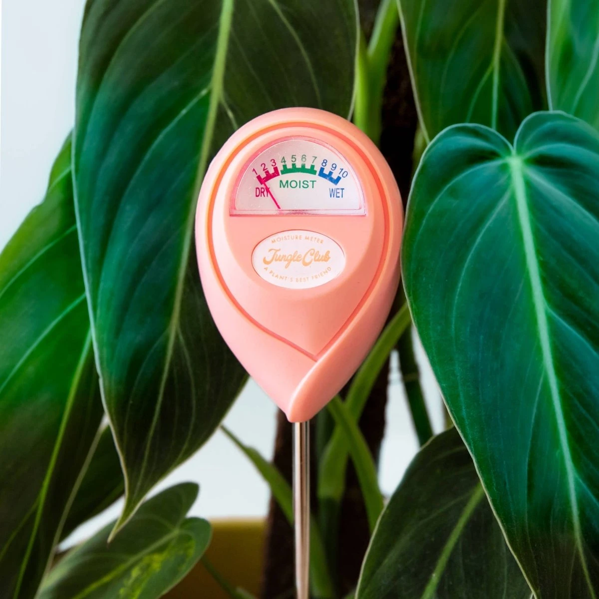 Jungle Club Soil Moisture Meter | Accurate, Battery-Free Plant Care 5 Jungle Club Soil Moisture Meter | Accurate, Battery-Free Plant Care - Image 3