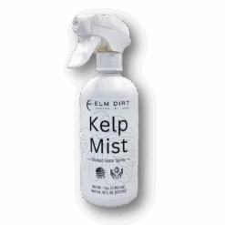 Kelp Mist 16 Kelp Mist -Eds Plant Shop kelp mist 154753