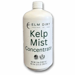 Kelp Mist 17 Kelp Mist -Eds Plant Shop kelp mist 601544
