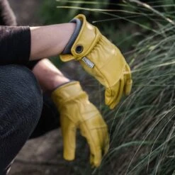Barebones Kunar Glove: Premium All-Purpose Work Glove: Natural/Yellow 20 Barebones Kunar Glove: Premium All-Purpose Work Glove: Natural/Yellow -Eds Plant Shop kunar glove premium all purpose work glove naturalyellow 951655
