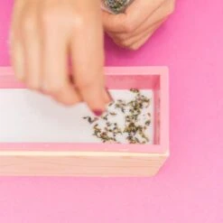 Layered Soap Making Kit -Eds Plant Shop layered soap making kit 165835