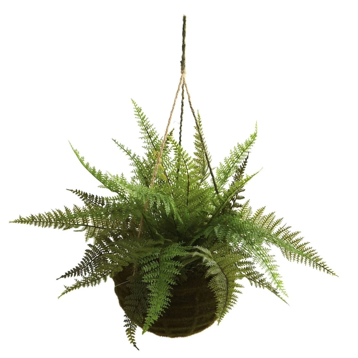 Leather Fern Hanging Basket Set (Set Of 2) – Perfect Indoor And Outdoor Décor 4 Leather Fern Hanging Basket Set (Set Of 2) – Perfect Indoor And Outdoor Décor - Image 2